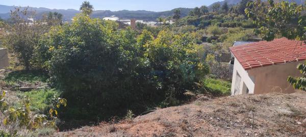 Casa independiente en Partida la Creu, 3