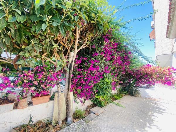 Chalet pareado en CL Alcala