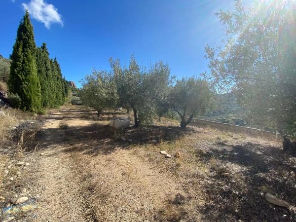 Finca rústica en Diseminado Diseminados, 19