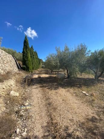 Finca rústica en Diseminado Diseminados, 19