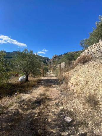 Finca rústica en Diseminado Diseminados, 19