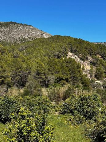 Finca rústica en Lugar Diseminados