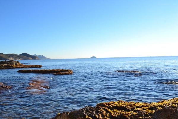 Chalet adosado en CL Aigues