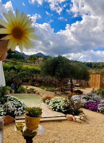 Finca rústica en Partida Foia Xorros