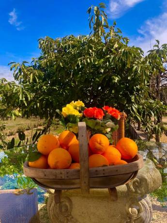 Finca rústica en Partida Foia Xorros