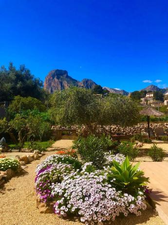 Finca rústica en Partida Foia Xorros