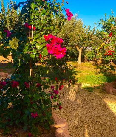 Finca rústica en Partida Foia Xorros