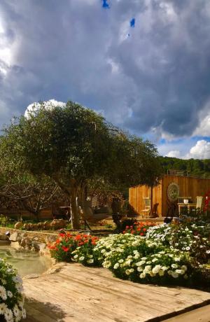 Finca rústica en Partida Foia Xorros