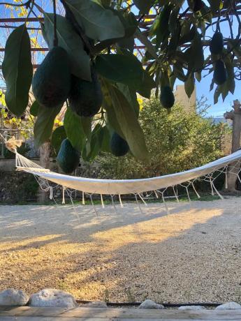 Finca rústica en Partida Foia Xorros