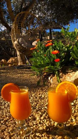 Finca rústica en Partida Foia Xorros