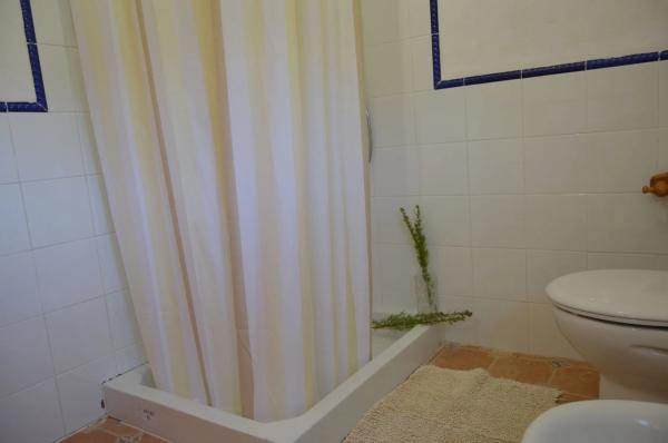 Finca rústica en partida alt de charquer s/n