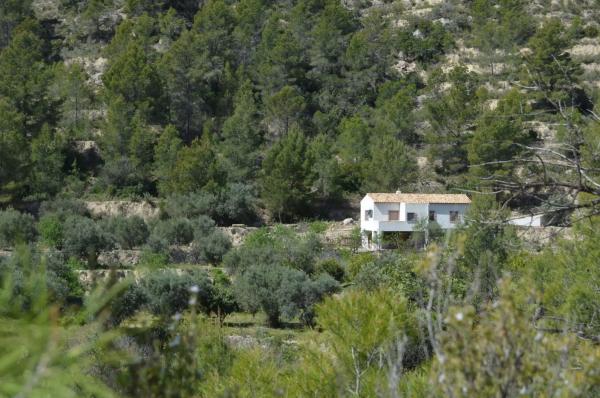 Finca rústica en partida alt de charquer s/n