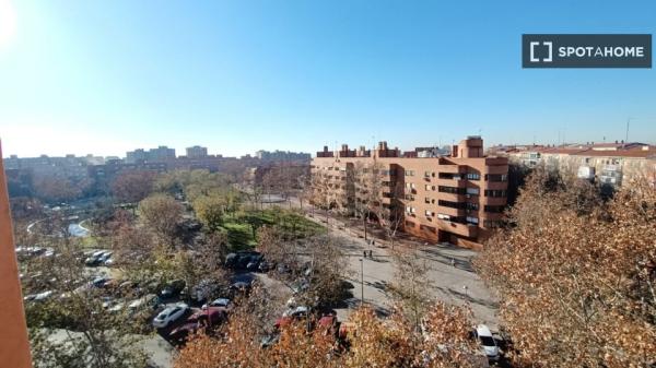 Room in shared 6-bedroom flat in Portazgo, Madrid.