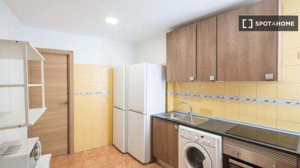 Shared apartment in Madrid