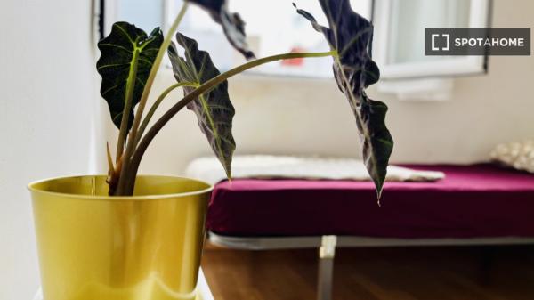 Piso de 2 habitaciones en alquiler en San Diego, Madrid.