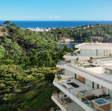 Australy Aures II apart