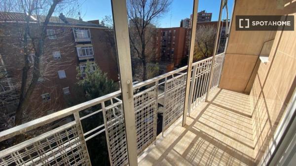 Dzielone mieszkanie w Madrycie