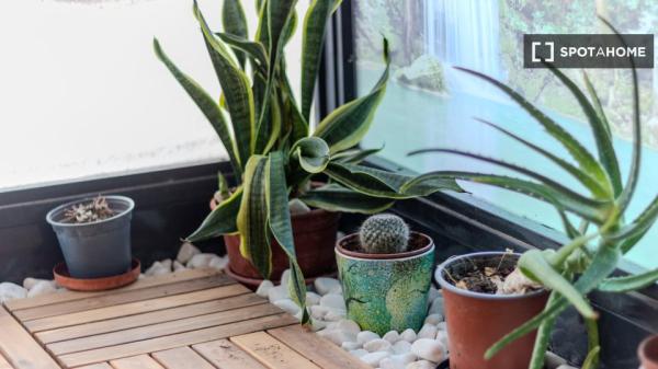 Estudio en alquiler en Santa Pola, Alicante