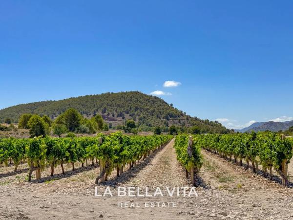 Villa en Hondón de las Nieves