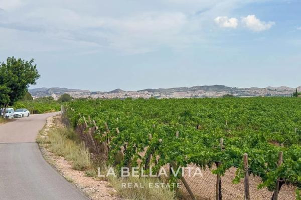 Villa rural en Alicante