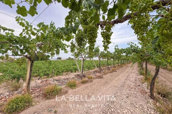 Villa rural en Alicante