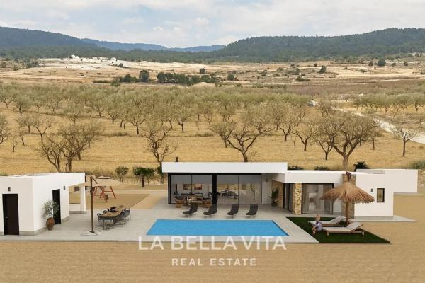 Villa rural en Alicante