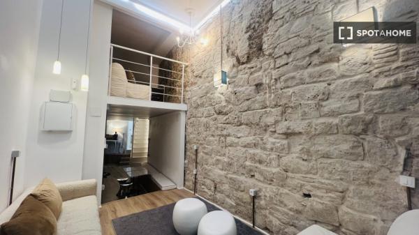 Estudio en alquiler en El Gòtic, Barcelona