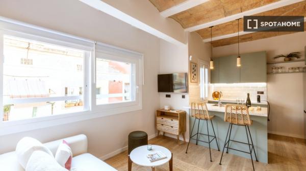 Studio do wynajęcia w La Barceloneta w Barcelonie