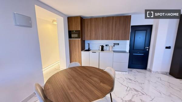 Estudio en alquiler en Alicante