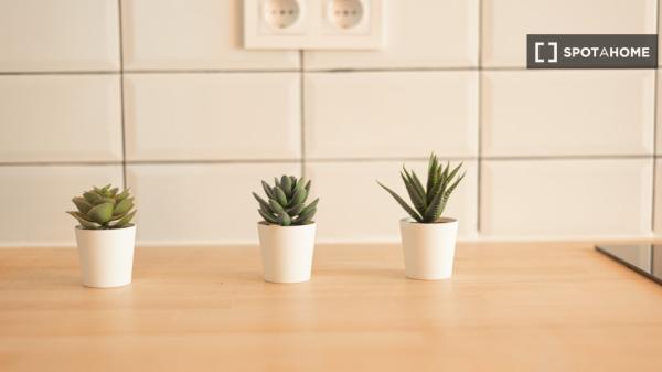 Se alquila habitación en piso compartido en la Dreta de l'Eixample