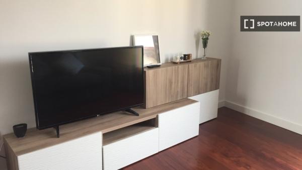 2-Zimmer-Wohnung zur Miete in Egia, San Sebastián.