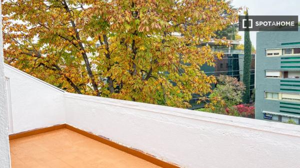 Studio do wynajęcia w Castilla, Madryt