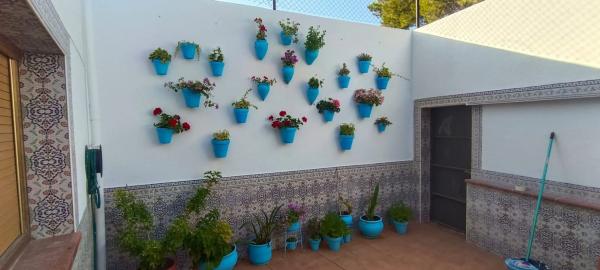 Chalet adosado en calle Reyes Católicos, 21