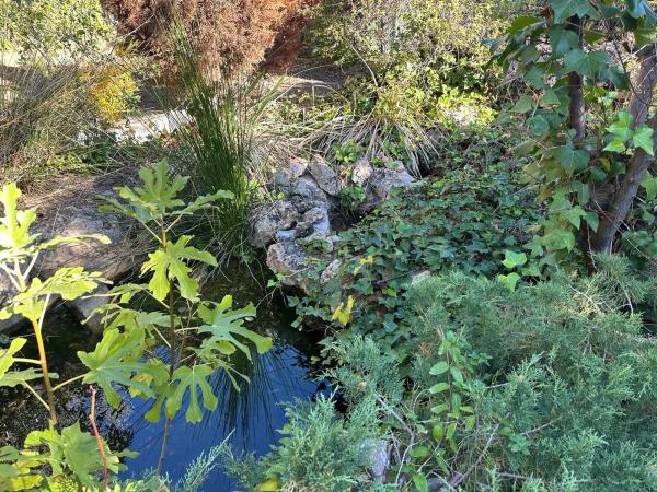 Casa independiente en Paraje la Virgen, 20