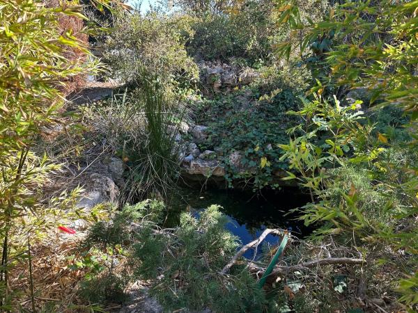 Casa independiente en Paraje la Virgen, 20