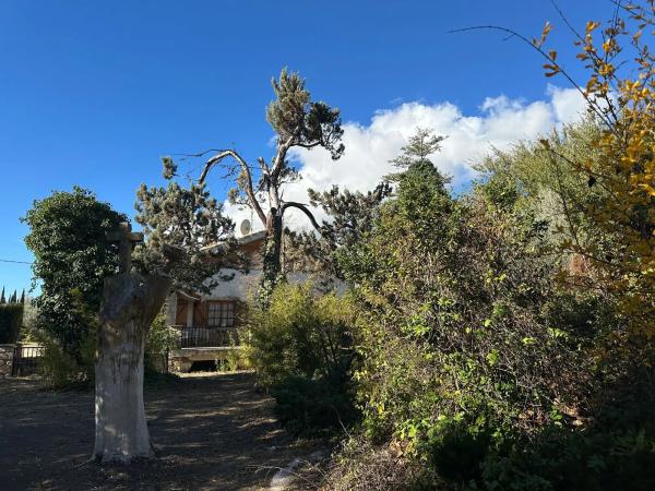 Casa independiente en Paraje la Virgen, 20