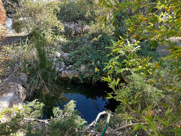 Casa independiente en Paraje la Virgen, 20