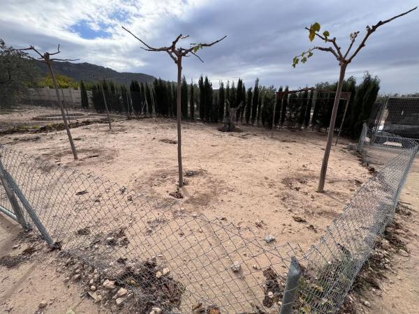 Finca rústica en Peña Rubia