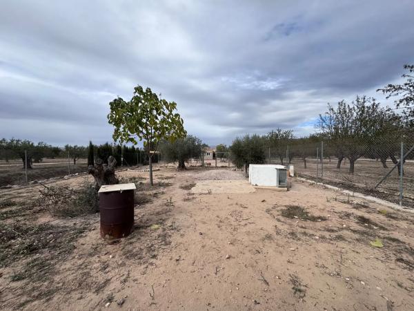 Finca rústica en Peña Rubia