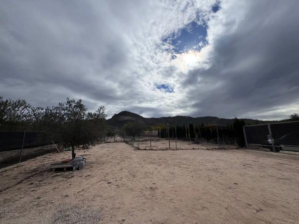 Finca rústica en Peña Rubia