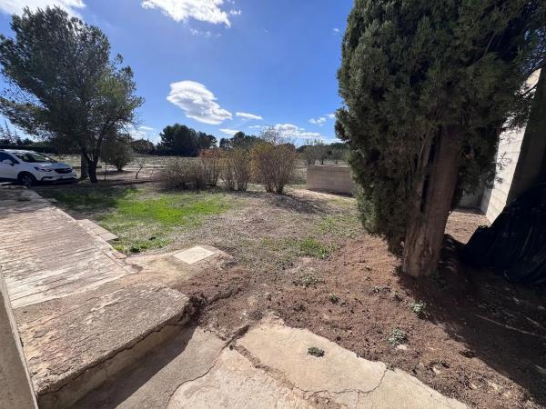 Finca rústica en Partida Casas de Cabanes y las Fuentes