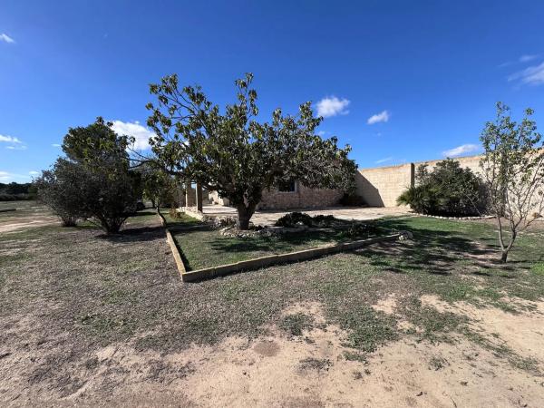 Finca rústica en Partida Casas de Cabanes y las Fuentes