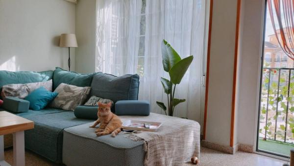 Piso en Maestro Carrascosa - Banda de Música