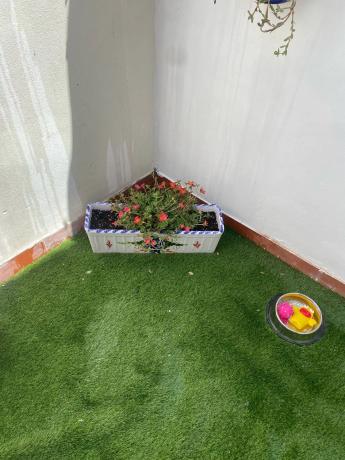 Chalet pareado en calle la rambla, 69