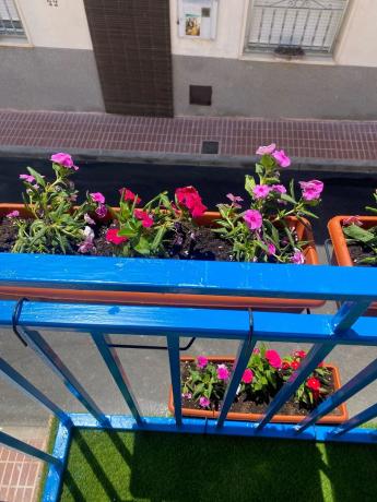 Chalet pareado en calle la rambla, 69