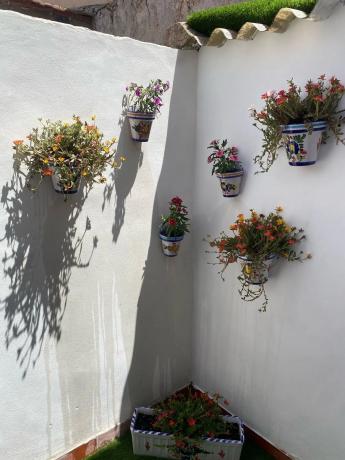 Chalet pareado en calle la rambla, 69