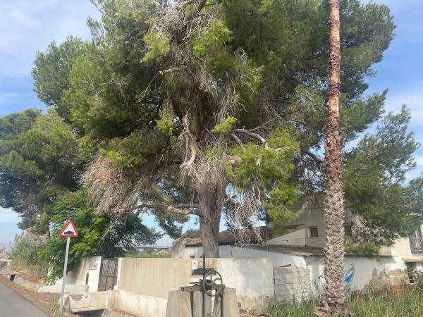 Finca rústica en calle Partida de heredades, 3