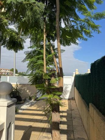 Casa independiente en calle Naranjo de Bulnes