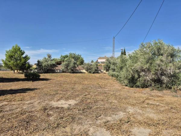 Casa independiente en camino Chicharra Lo