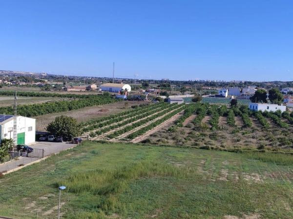 Piso en Formentera del Segura